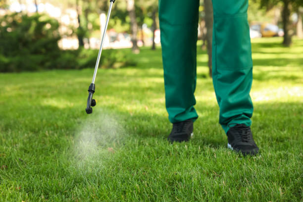 Best Flea Control Services  in Montour Falls, NY