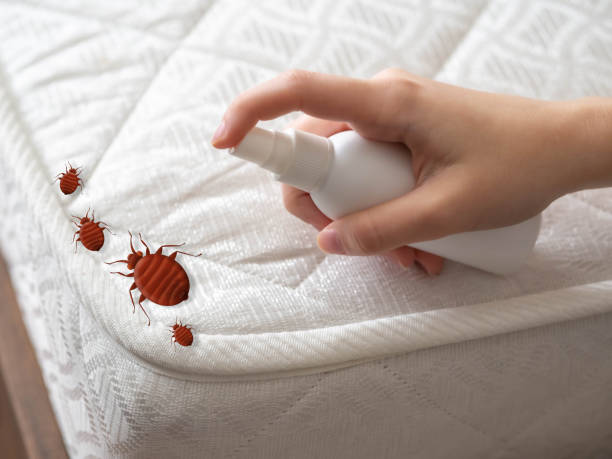 Best Commercial Pest Control Services  in Montour Falls, NY